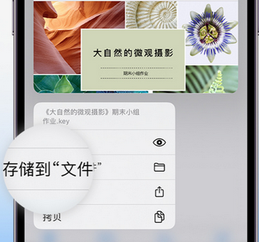 古县apple维修中心分享iPhone文件应用中存储和找到下载文件