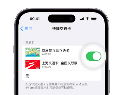 古县apple维修点分享iPhone上更换Apple Pay快捷交通卡手绘卡面 