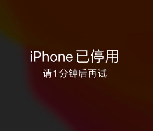 古县苹果手机维修分享:iPhone 显示“不可用”或“已停用”怎么办？还能保留数据吗？ 