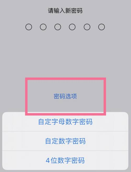 古县苹果14维修分享iPhone 14plus设置密码的方法 