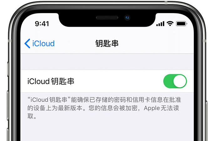 古县苹果手机维修分享在 iPhone 上开启 iCloud 钥匙串之后会储存哪些信息 